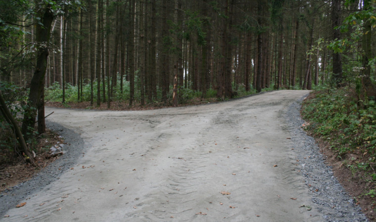 Lesní cesty Vohančice